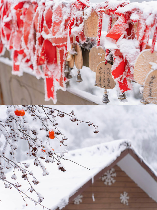 滑雪季 | 南方私藏的林海雪原被我找到了！