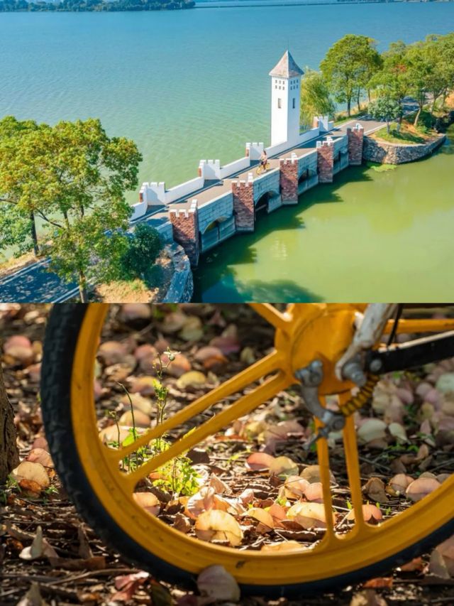 眼前一亮:「海上」自行車道 眼前一亮:「海上」自行車道