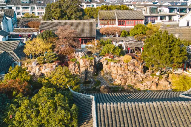 常熟燕園蠟梅盛開啦，花香滿園，嫩黃蠟梅與仿古建築相映別有韻味