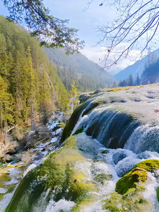 Once you go to Jiuzhaigou, you don't want to go back to work