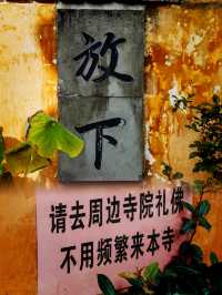 浦江有意思的一座寺廟！