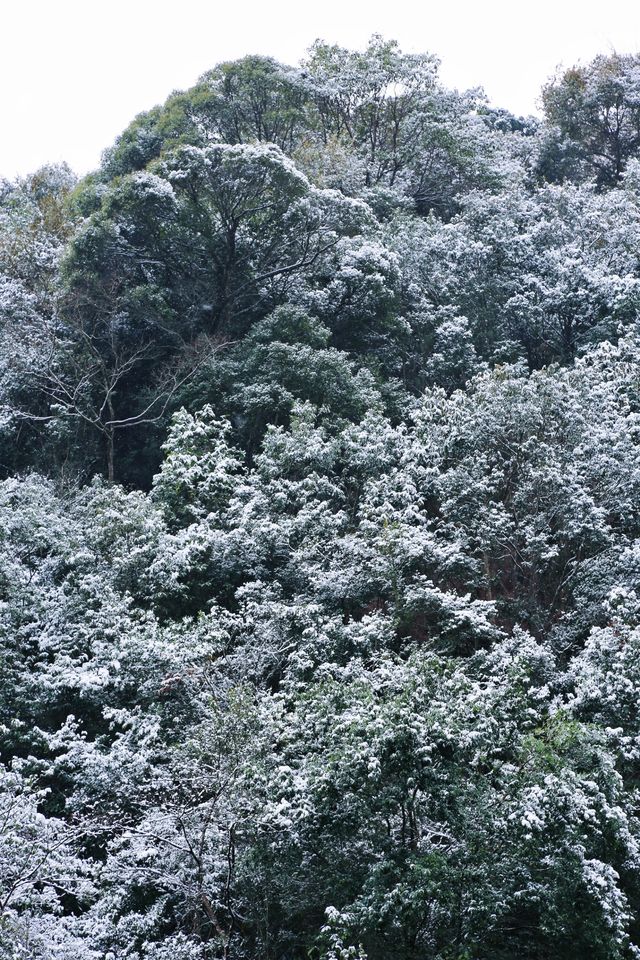 @福建人，難遇南方的今天打雪仗了嗎