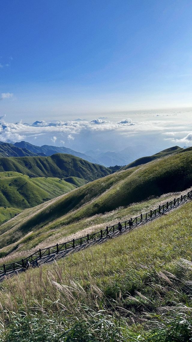 沒開玩笑--全中國的人都在武功山!