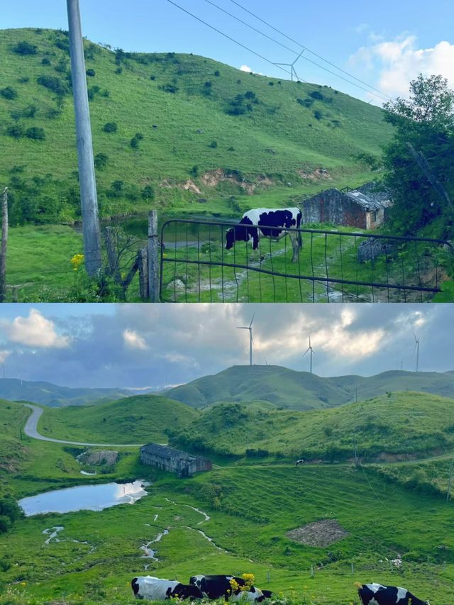 中國第一牧場:湖南的“呼倫貝爾”——南山大草原