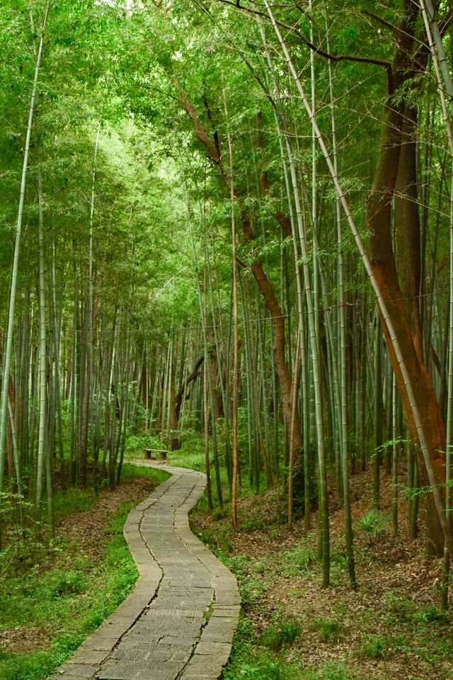 武漢小眾輕鬆徒步路線還可以看海！