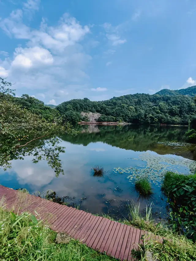 A day, a season, a year, the different Shimen National Forest Park