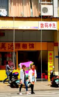 古田縣，中國食用菇之都