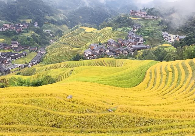 龍脊梯田！