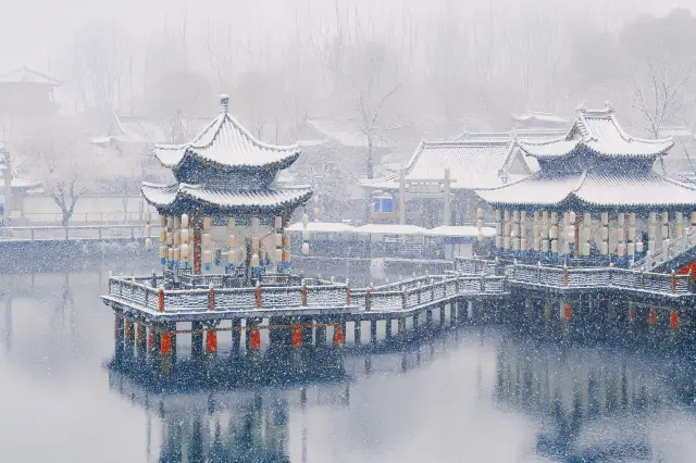 浙江横店下雪了，銀裝素裹，真的美極了！！！