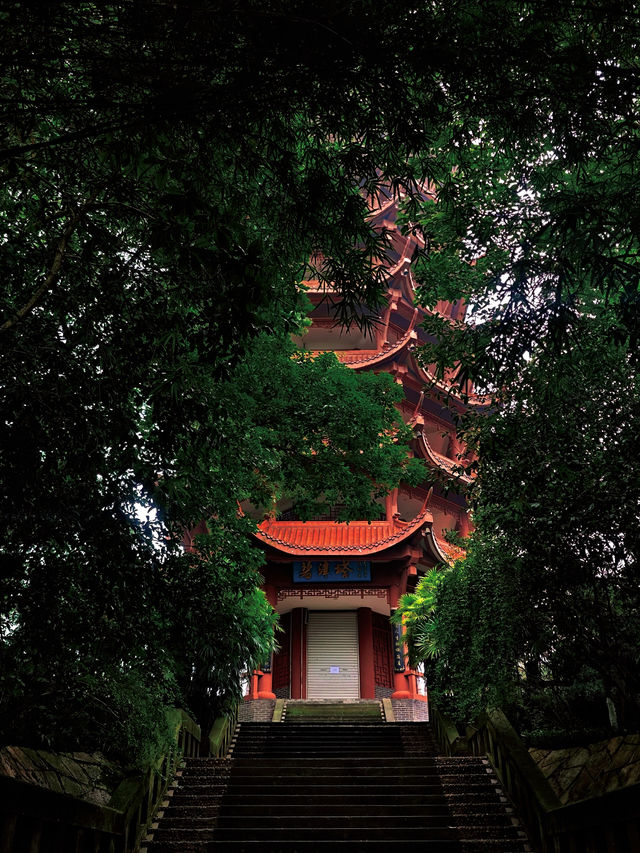 重慶週末最適合一個人無聊閒逛的公園！