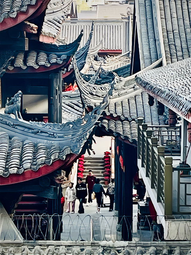 成都太古里帶娃尋龍記🐲
