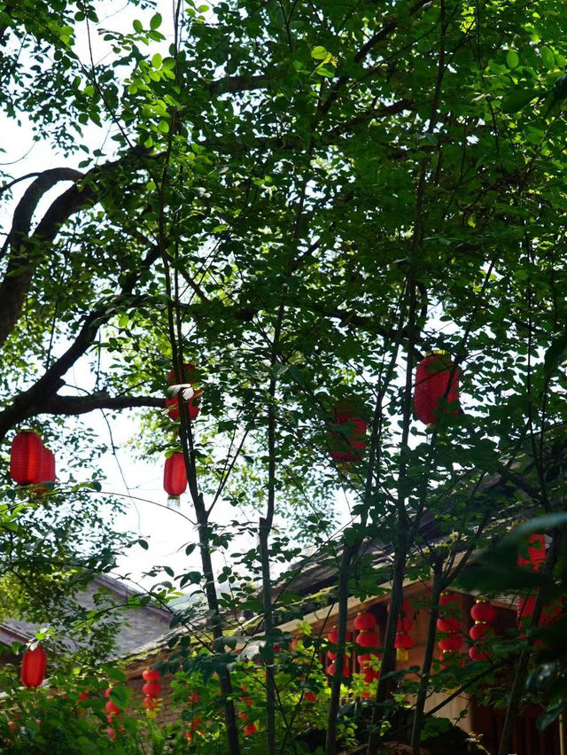 春日賞花，躲在收藏夾裡的廉村當然要打卡