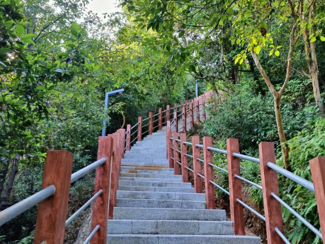 深圳淘金山｜綠道中的“千島湖”