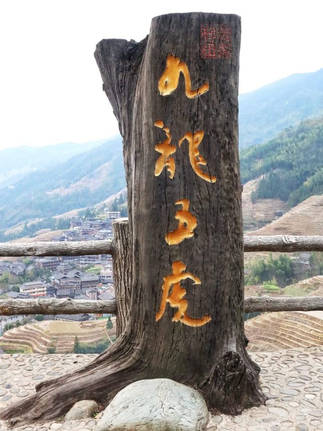 廣西龍勝龍脊梯田丨金色秋天，層層疊疊，千重稻浪盡染金黃