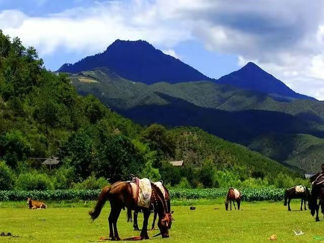 享有「高原馬爾代夫」美譽的拉市海，這才是它最美的樣子