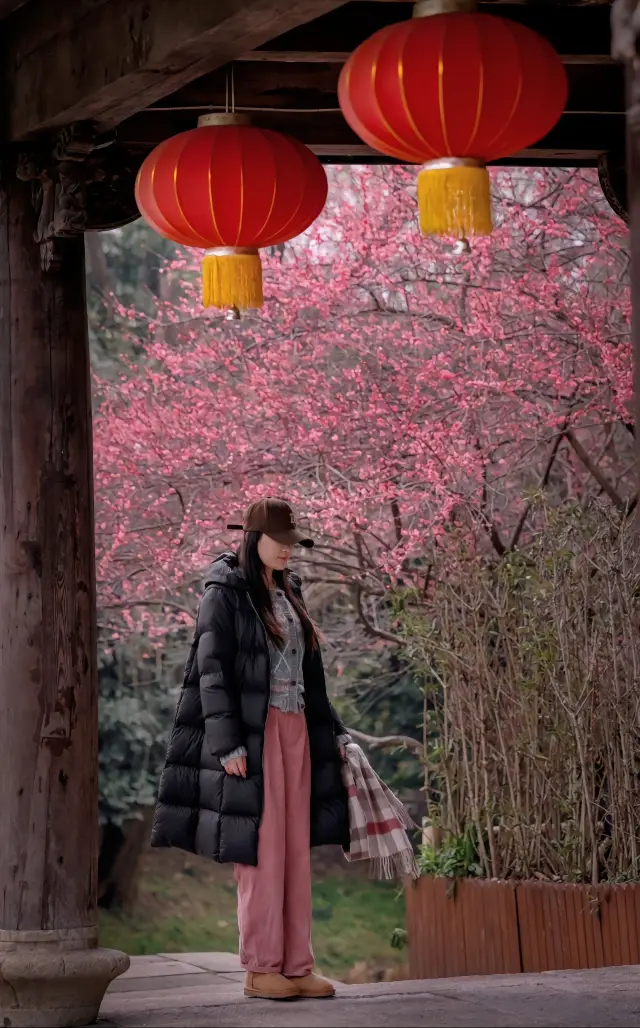 やっと見つけた·杭州で一人で静かに梅を楽しむ場所