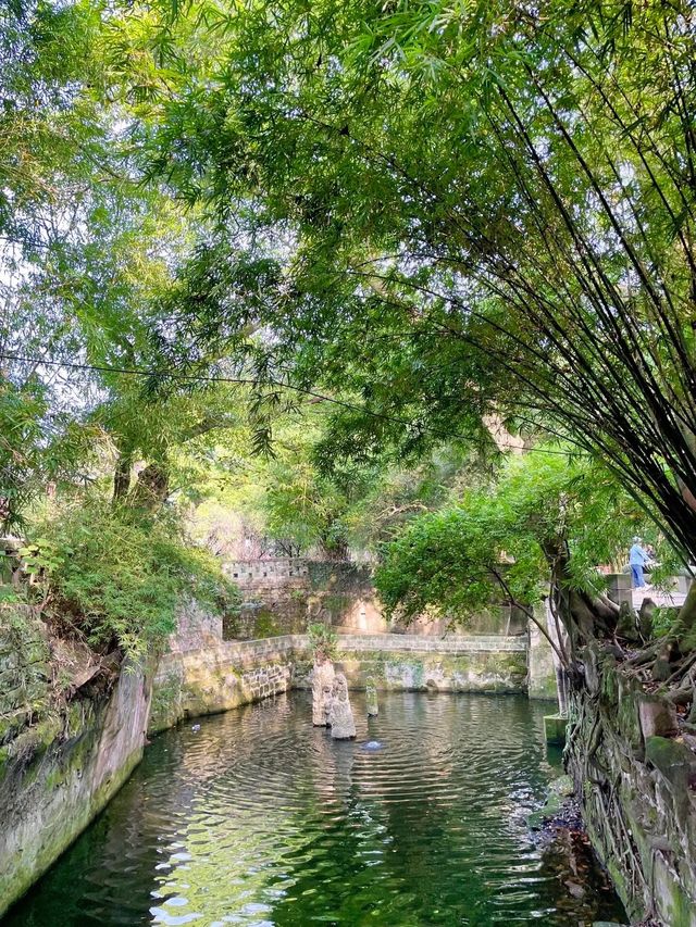 鵝嶺公園丨藏在重慶渝中區的小江南