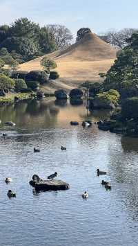 極致日式美景，水前寺成趣園處處是驚喜