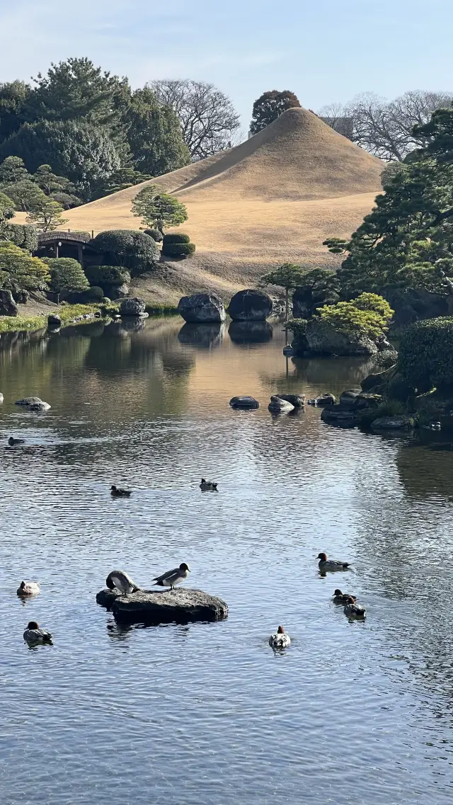 極致日式美景，水前寺成趣園處處是驚喜