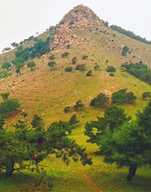 登巴爾虎山，享受登山樂趣，領略滿蒙風情！