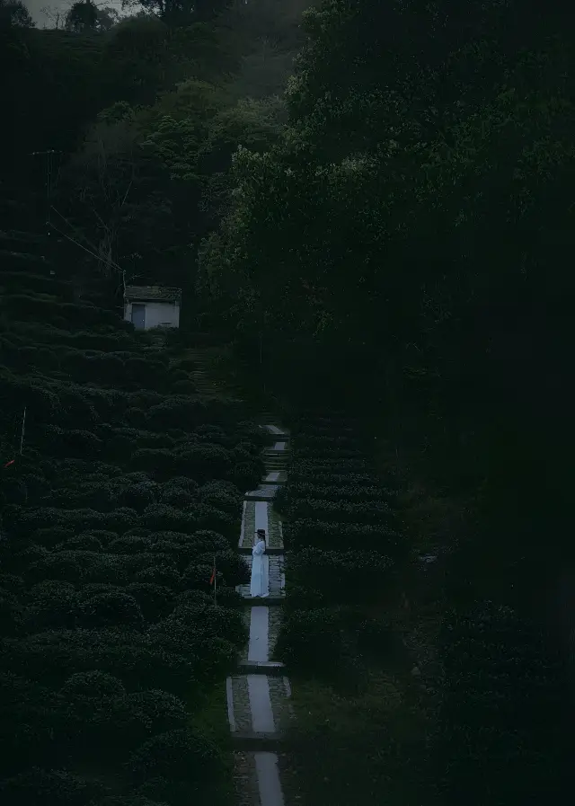 차산에 올라 봄차를 마시는 것은 이 계절에 항저우에서 가장 적합한 일이다