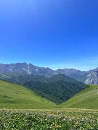 夏日花海：九頂山