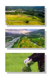 小眾鄉村｜在柘榮縣乍洋鄉收集美景的一天