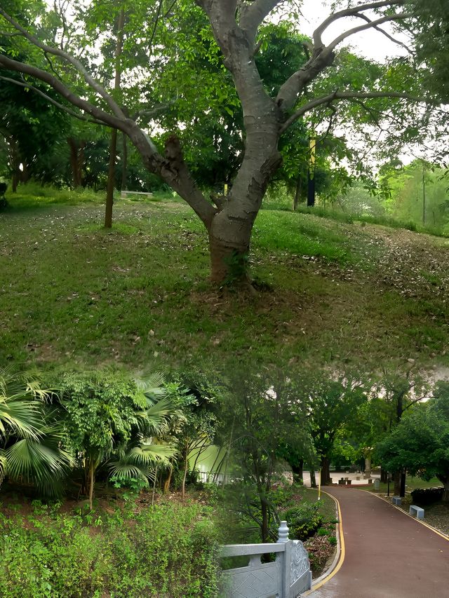 徐聞人民公園最全攻略 徐聞人民公園最全攻略
