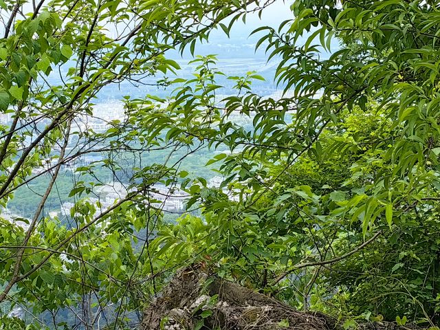 南京浦口老山森林公園