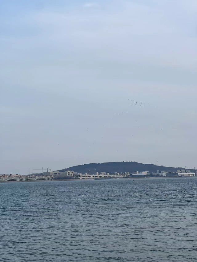 夏日遊玩｜海邊的濕地公園，徒步納涼都不錯