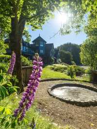 🌟 Luxe Lakeside Retreats in Neuquen 🏞️✨