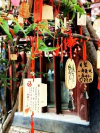 理塘 | 勒通古鎮