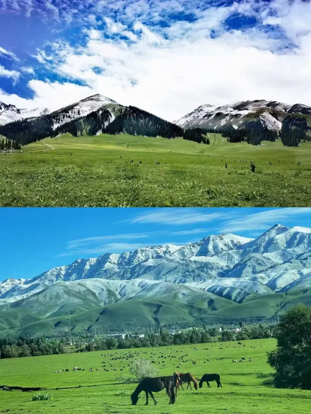 Xinjiang Ili River Valley Panoramic 7-Day Tour