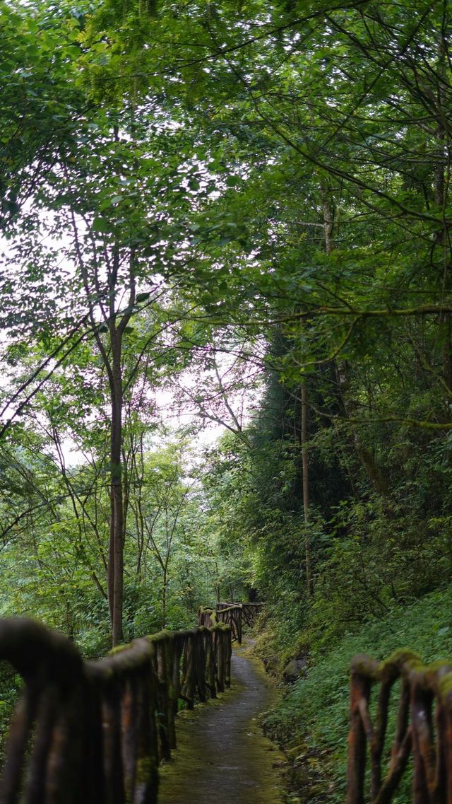 紅峽谷棧道觀通橋