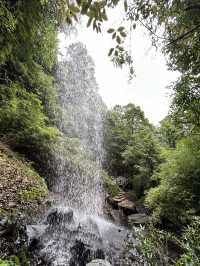 龍苍溝國家級森林公園