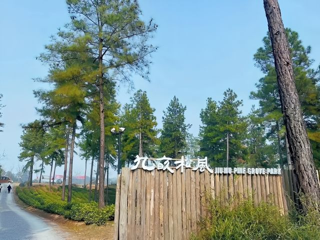 這家位於安吉的野奢營地，我敢說江浙滬沒有人能超越