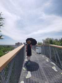 City walk美人松空中廊橋公園/雲頂市集