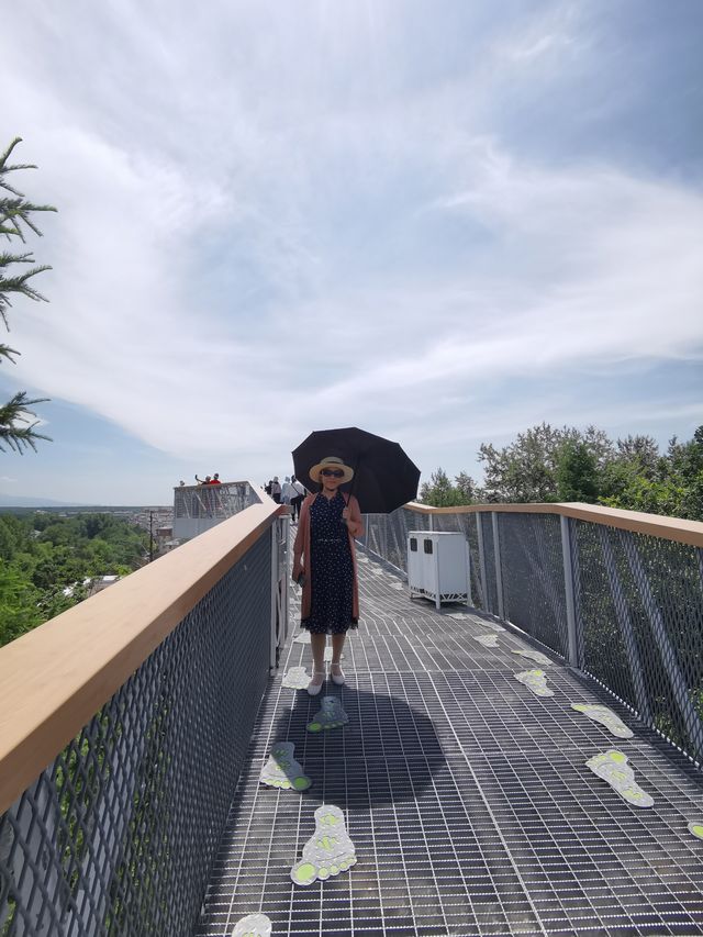 City walk美人松空中廊橋公園/雲頂市集
