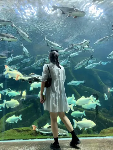 哈爾濱！在波塞冬拍到了人生照片……