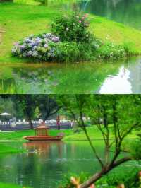 有這樣一個浪漫且獨屬於成都的公園！！摩訶池