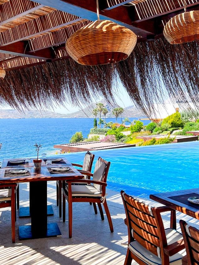 🌟 Bodrum's Best: Allium Resort & Spa Delights 🌊