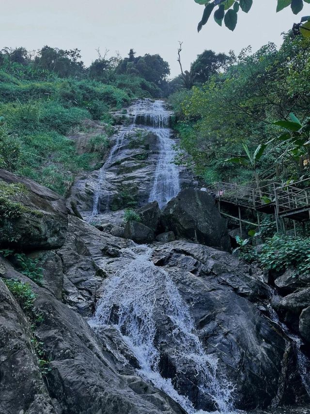 海南瓊中百花嶺熱帶雨林文化旅遊區，一個讓你忘卻煩惱的仙境！