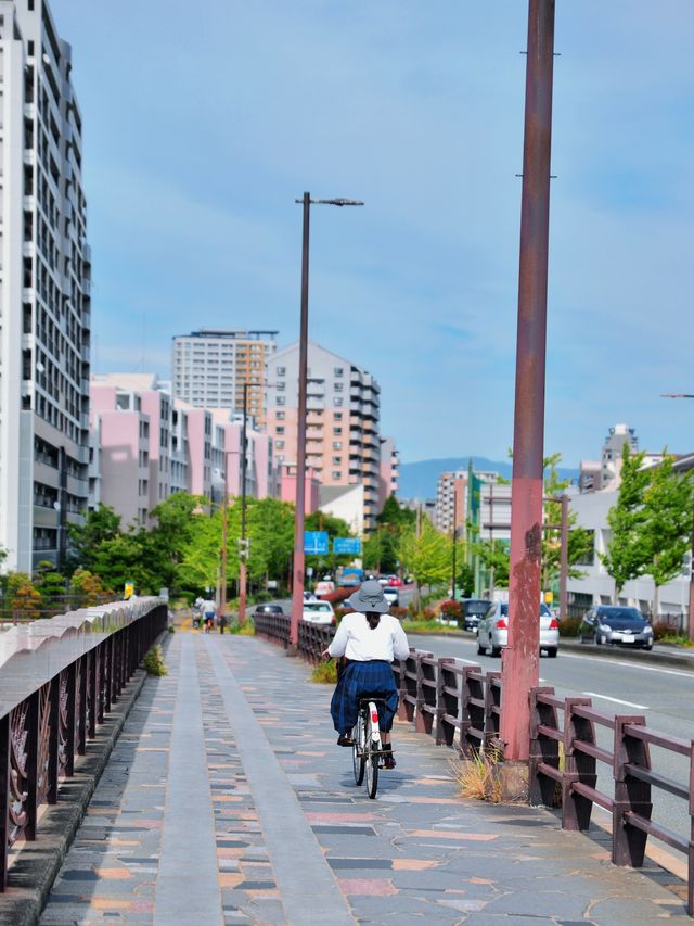 福岡半日Citywalk，不要錯過這條絕美海岸路線