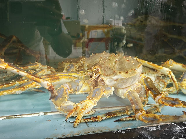 珲春延边自驾G331