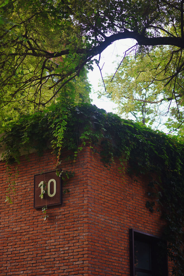 長春水文化生態園，一座城市裡的森林公園