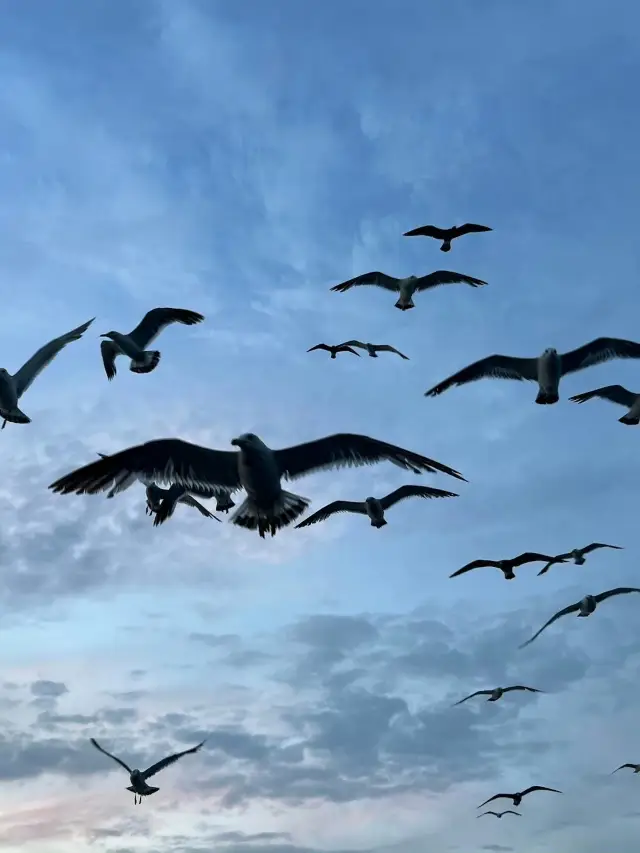 Ferry Travel Guide from Yantai to Dalian