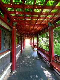 北坞公園