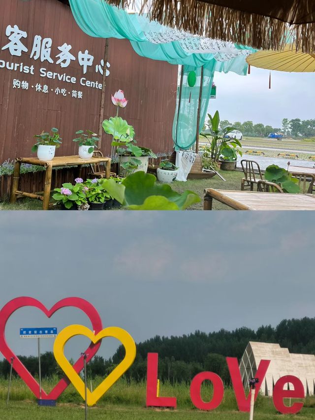 打卡萬畝荷塘，為荷而來