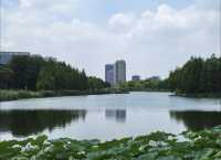 小眾景點遠香湖，建築藝術文藝滿滿