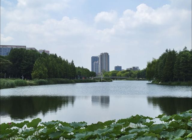 小眾景點遠香湖，建築藝術文藝滿滿